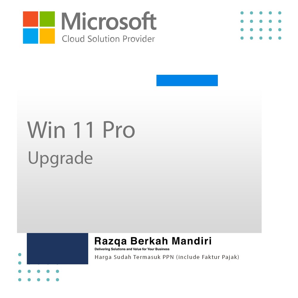 Windows 11 Pro Upgrade