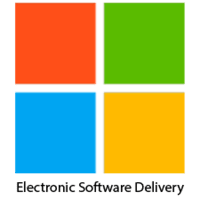 Microsoft ESD